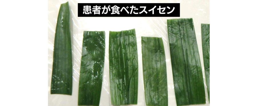 スイセンをニラと間違え食中毒 5人が症状訴え