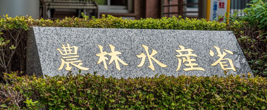 政府備蓄米の価格上乗せ分が拡大の理由