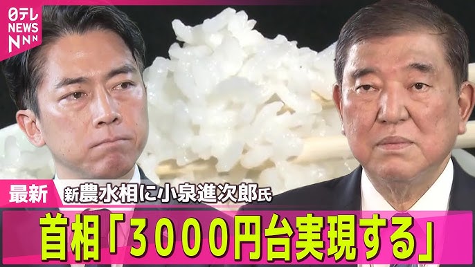 小泉進次郎氏が農水大臣に就任、コメ価格安定へ指示