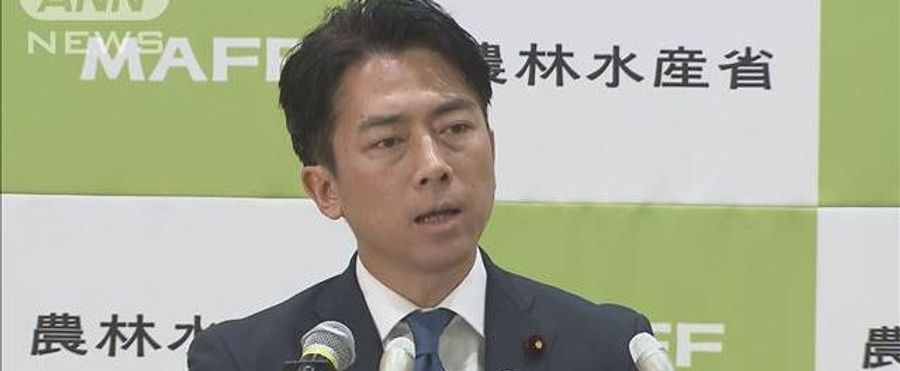 農水省がコメ対策チームを発足、価格高騰に対応
