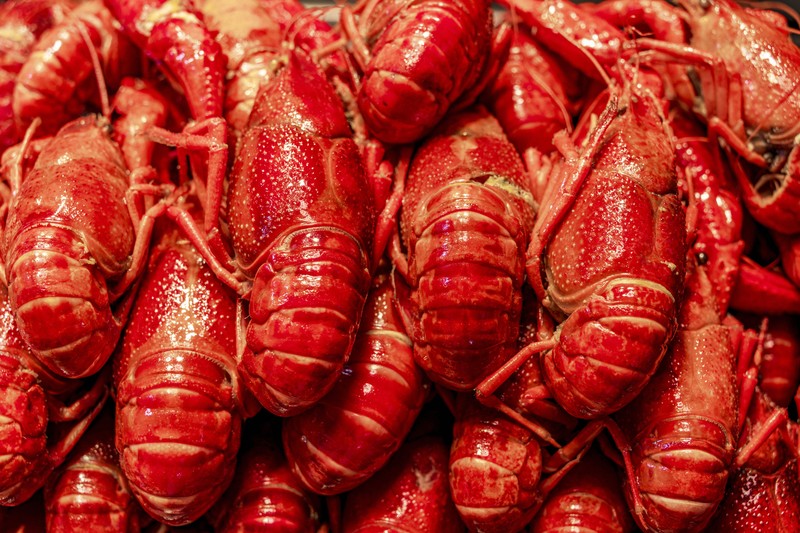 中国の夏の定番ザリガニ料理の魅力と価格変動