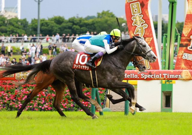 ハヤヤッコ、目黒記念で競走中止の詳細と影響