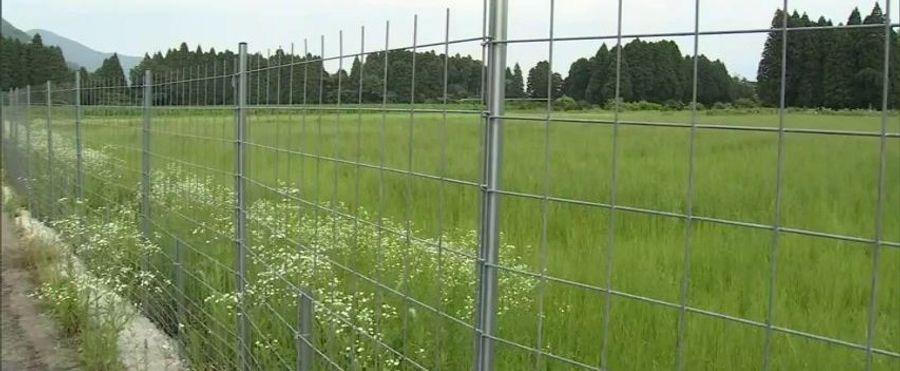 えびの市でパラグライダー着陸失敗、男性死亡