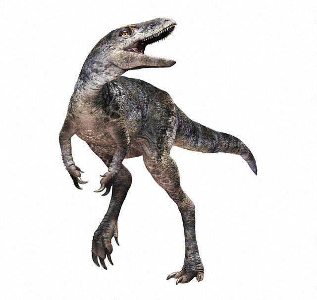 新種ティラノサウルス「カンクウルウ」の発見