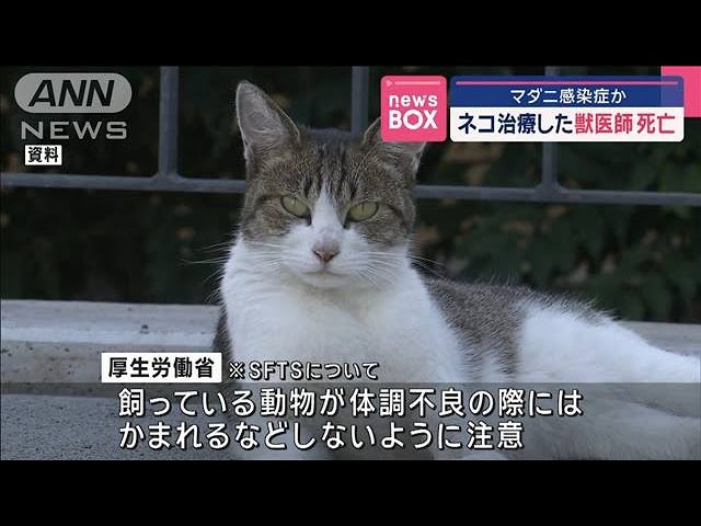 マダニ感染症で獣医師が死亡、SFTSの危険性とは