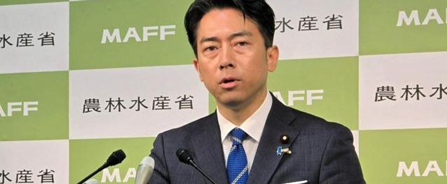 新潟県産コシヒカリの価格が急落した理由とは