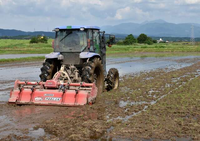 コメ概算金廃止の影響と農家の懸念