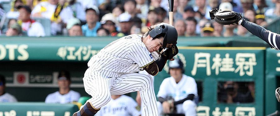 球場に悲鳴 阪神・中野に頭部死球