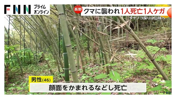 長野の山林 クマに襲われ1人死亡