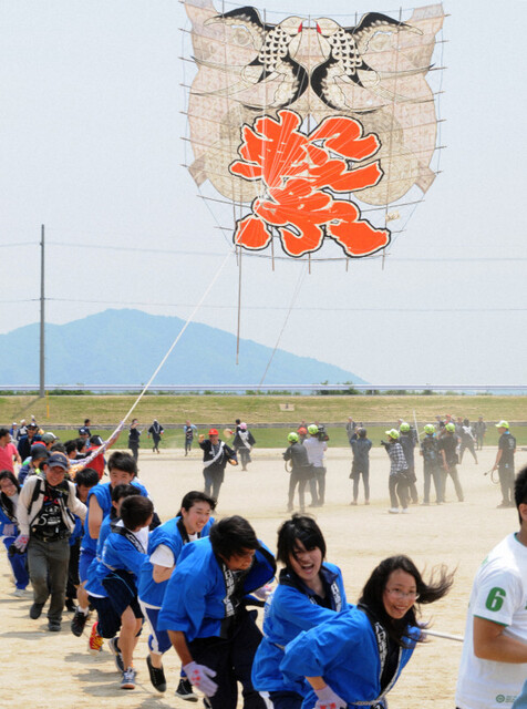 100畳敷大凧行事再開へ！滋賀県が制作補助金計上