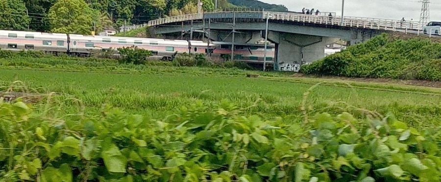 東北本線での運転見合わせ、線路内に人が立ち入る
