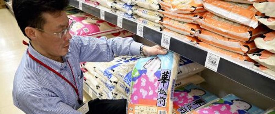 2024年産ハナエチゼン備蓄米の出荷状況と流通情報