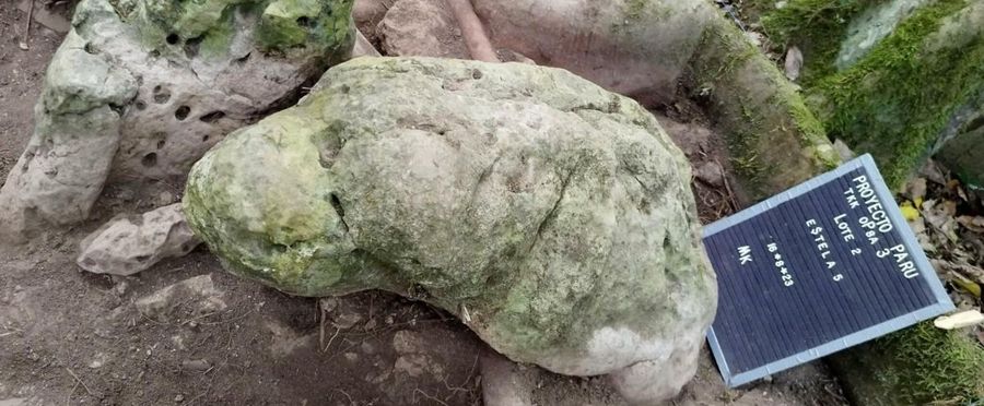 グアテマラのワシャクトゥン遺跡での重要な発見