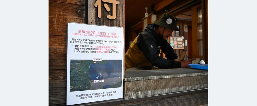 支笏湖畔でヒグマ接近！釣り客への警鐘