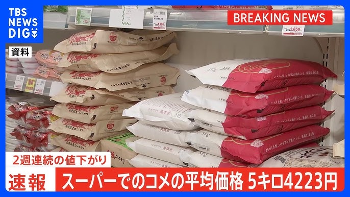 コメの平均価格が2週連続で値下がり！5キロ4223円
