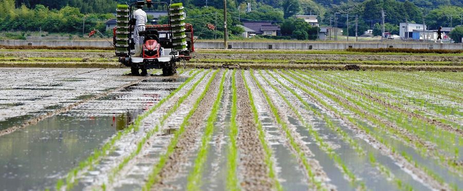 自動運転田植え機で効率的な農業管理