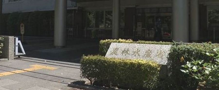 沖縄以外で確認された随意契約の備蓄米販売
