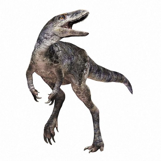 新種ティラノサウルス「カンクウルウ」を発見