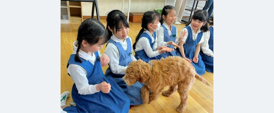 セラピードッグANNEと子どもたちの心温まるふれあい