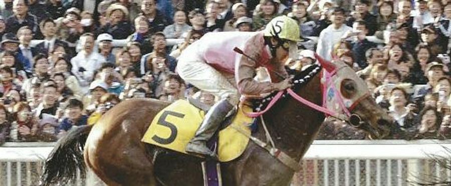 ハルウララの異例のウィニングランと人気の秘密