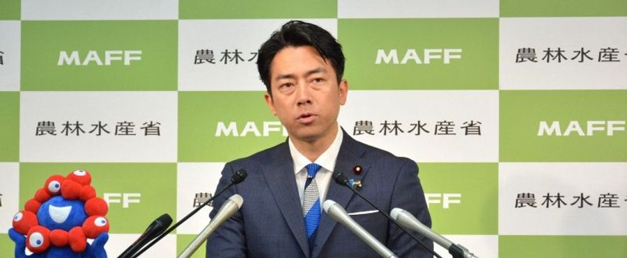 高騰するコメ価格に対する緊急輸入の検討