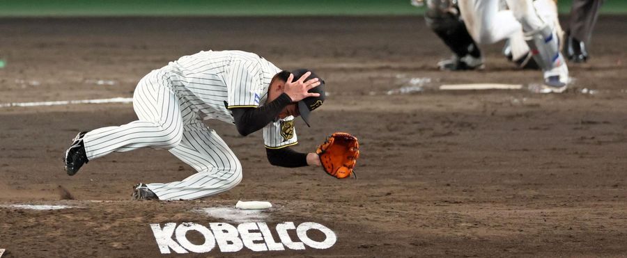 阪神・石井大智、打球が頭部直撃で倒れるアクシデント