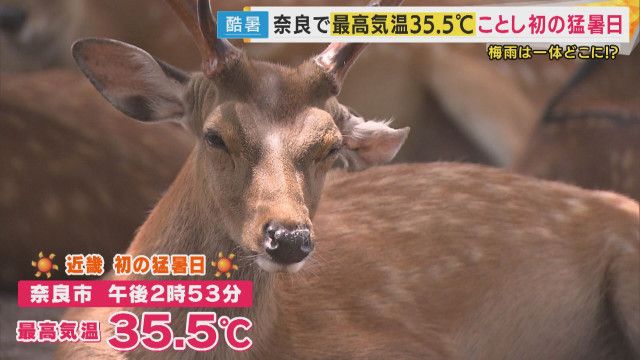 梅雨前線消滅の異例現象と厳しい暑さの影響