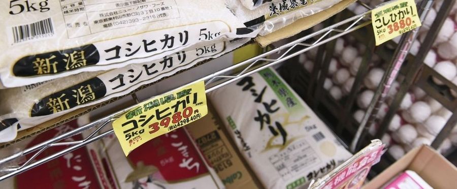 ひとり親家庭の88%が米を買えない実態