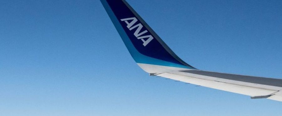 全日空旅客機で乗客がドアを開けようとする騒ぎ