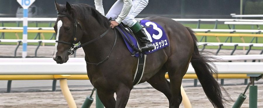 ソウルラッシュ、骨折で3カ月以上の休養へ
